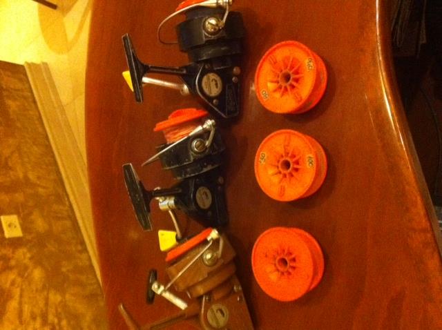 mulinete - poza1.JPG